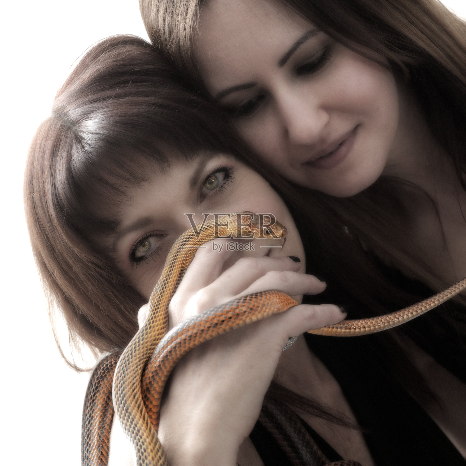 两个女人和一条蛇照片摄影图片