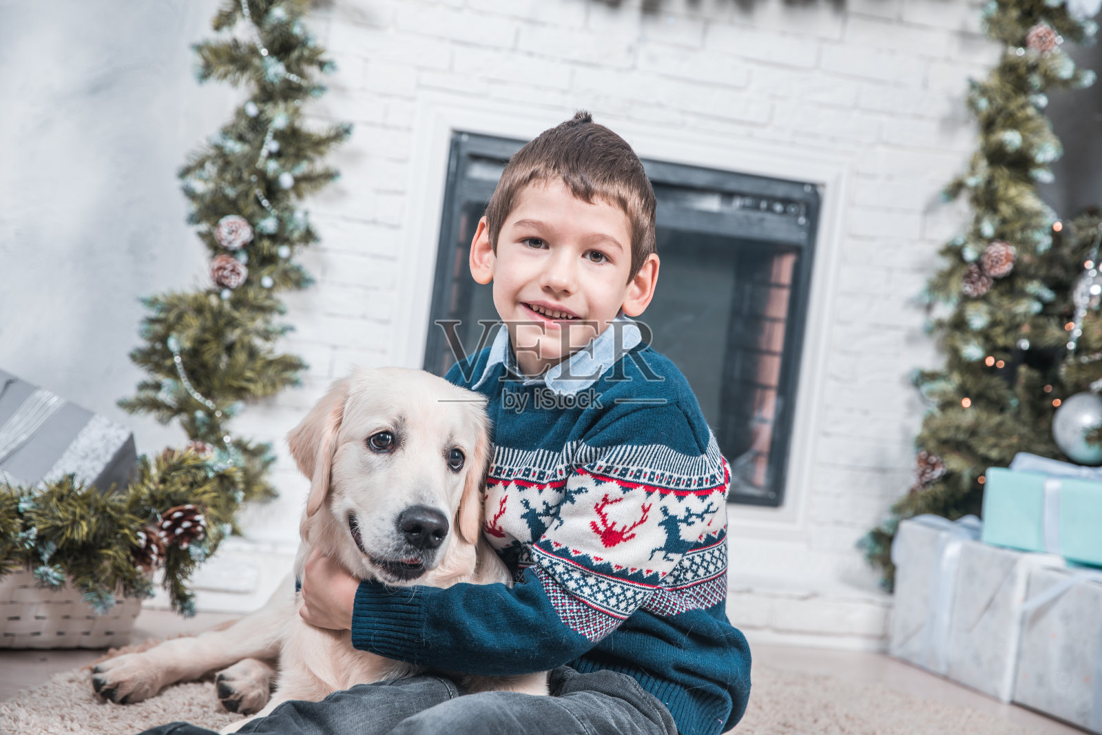 年轻的照片模特在圣诞毛衣摆姿势与金毛猎犬小狗照片摄影图片