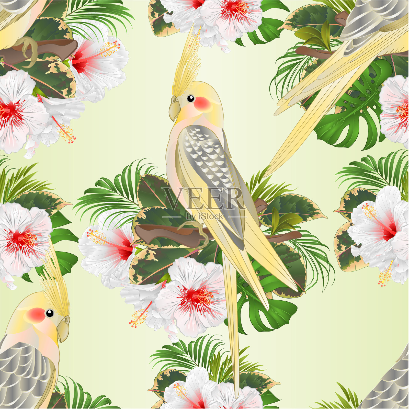 无缝纹理黄色鹦鹉可爱的热带鸟类有趣的鹦鹉和白色木槿水彩风格在绿色背景上复古矢量插图可编辑设计元素图片