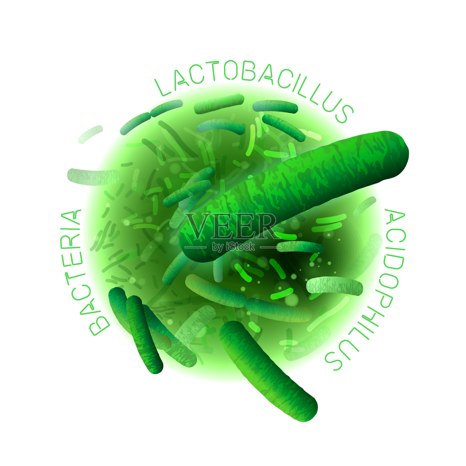 乳酸菌益生菌的形象插画图片素材