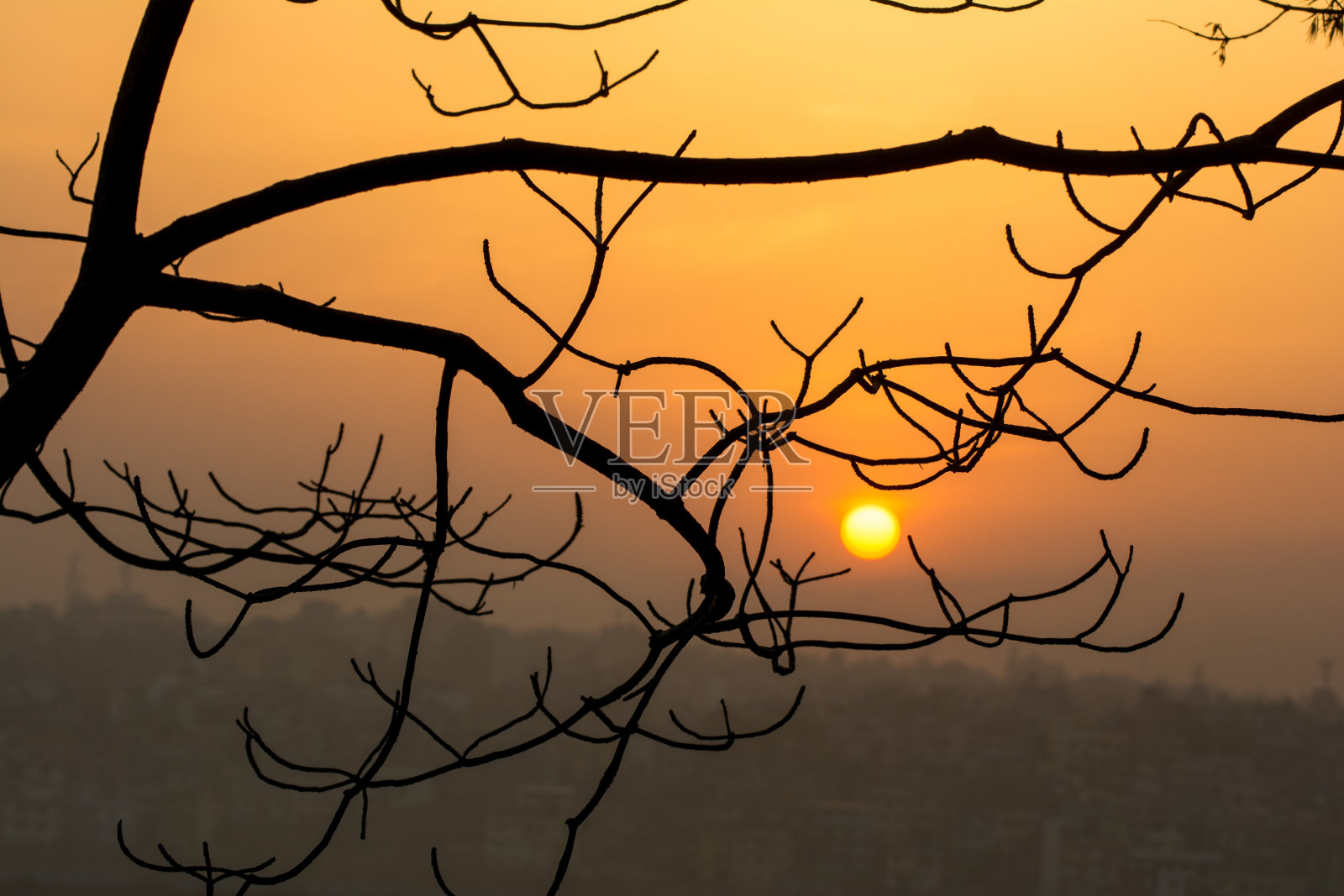 美丽的日出后抽象的树枝照片摄影图片