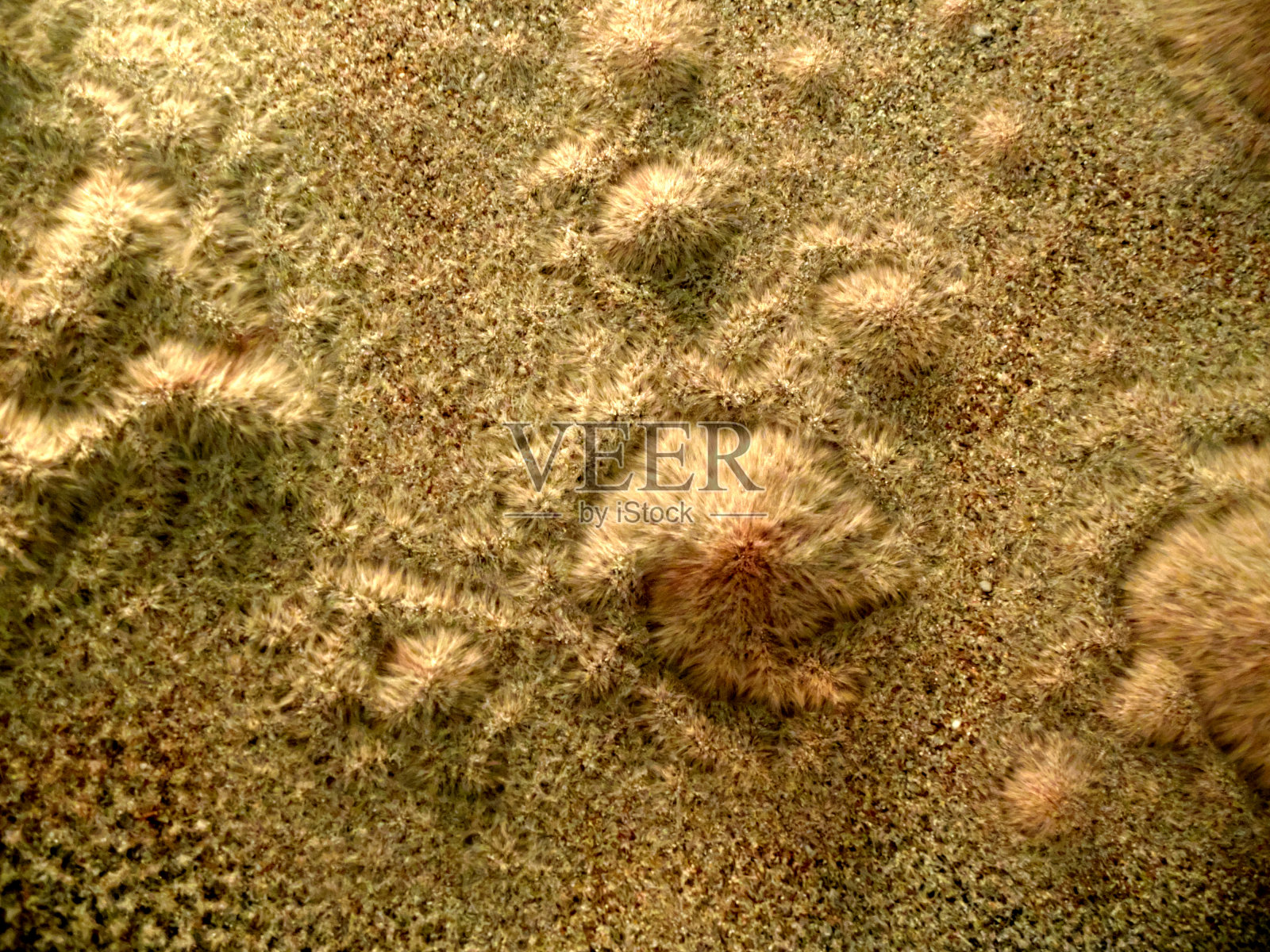 表面振动产生的松软砂粒。抽象的背景看起来像来自另一个星球的沙丘。照片摄影图片