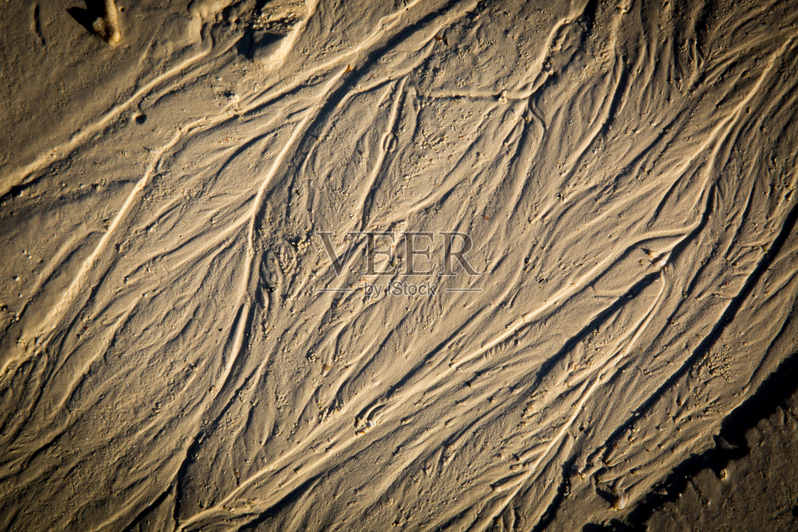 海边潮湿的沙子照片摄影图片