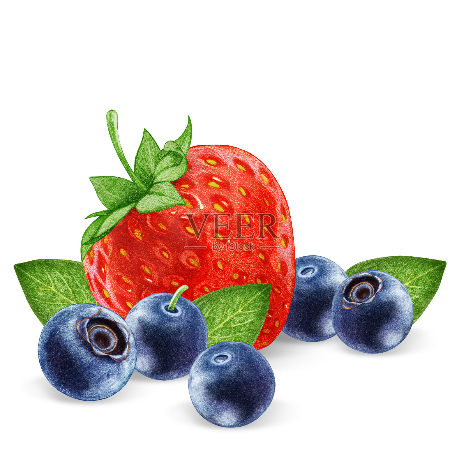 手绘的草莓与蓝莓。数字彩色。插画图片素材