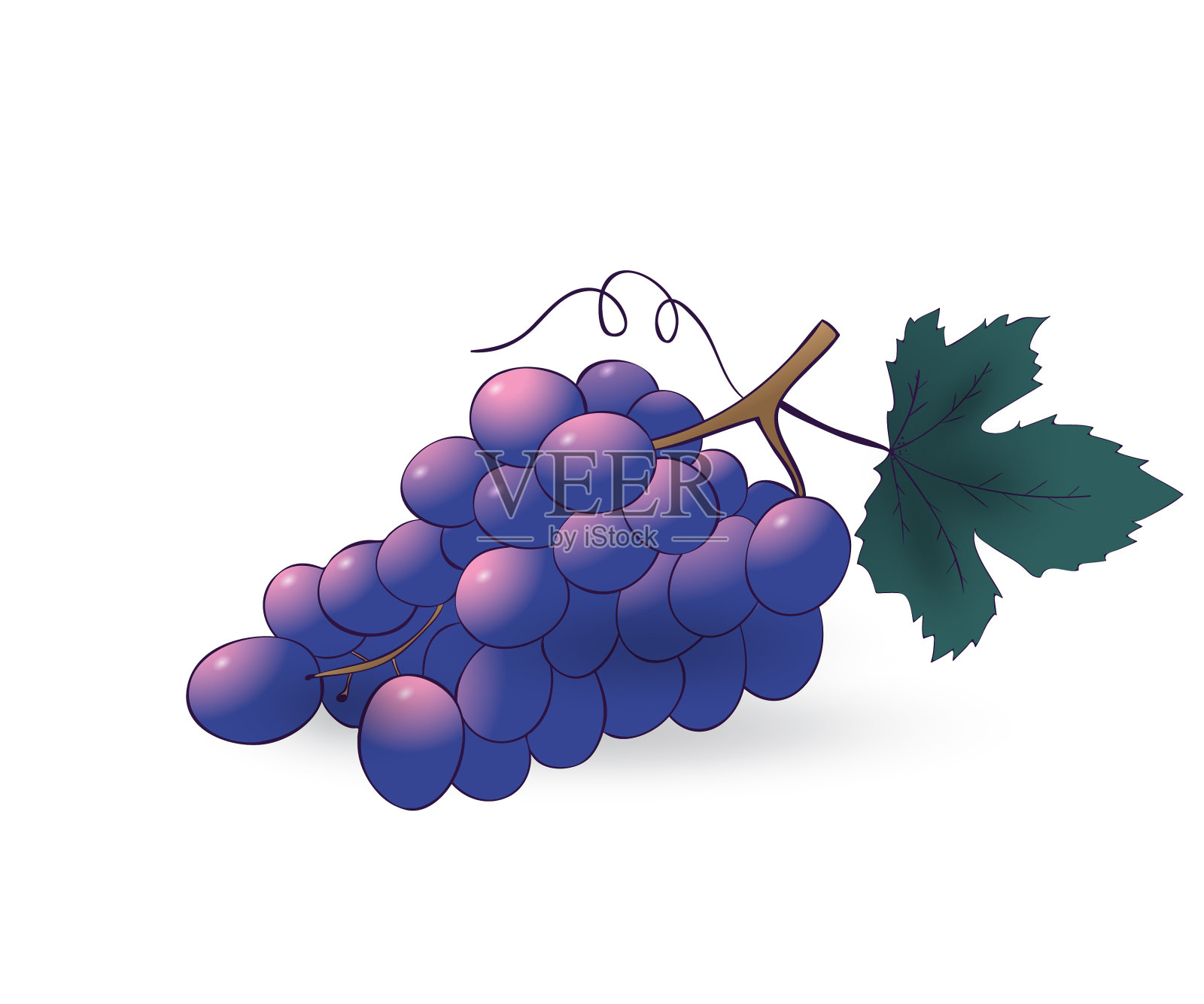 矢量手绘葡萄设计元素图片