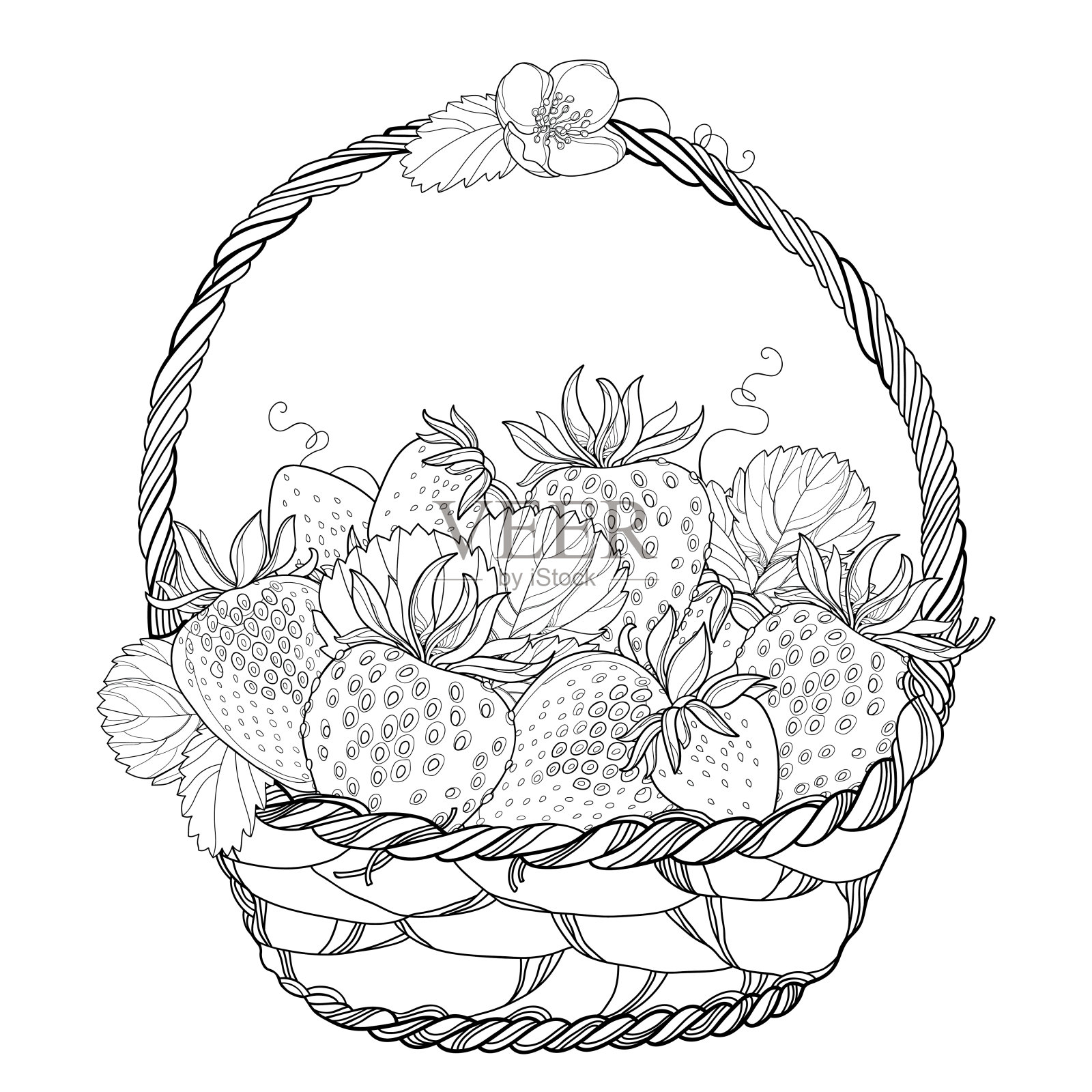 矢量柳条篮子与轮廓草莓，浆果，花和华丽的叶子在黑色孤立在白色的背景。插画图片素材