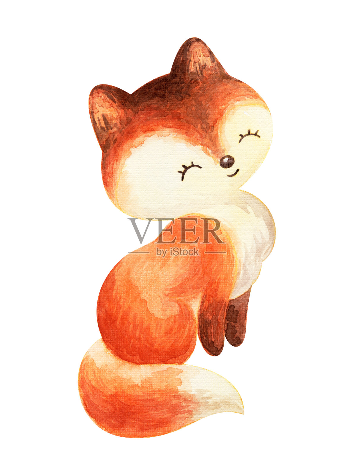 可爱的毛茸茸的红狐。手绘水彩插图孤立的白色背景。设计元素图片