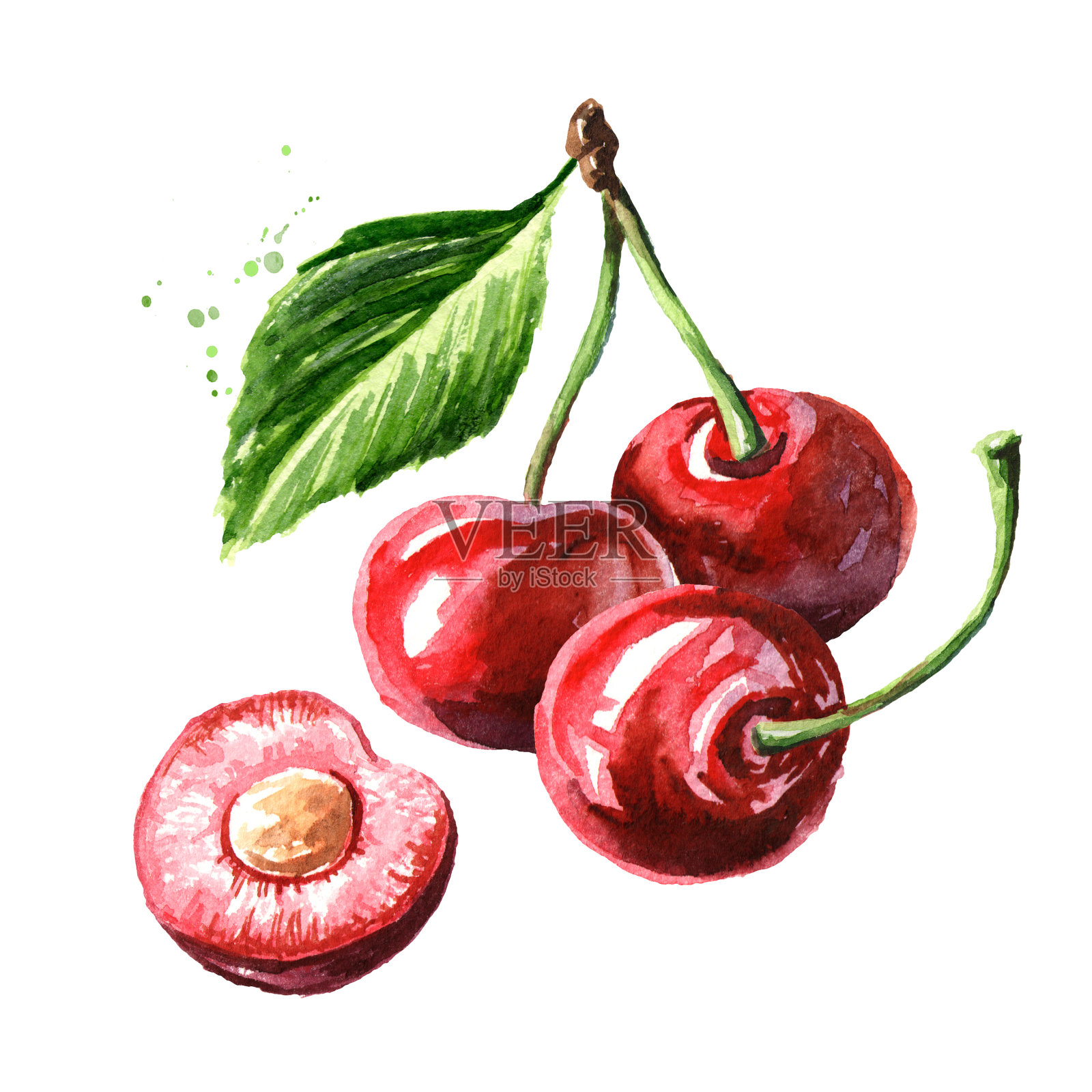 新鲜成熟的红樱桃。水彩手绘插图，孤立的白色背景插画图片素材