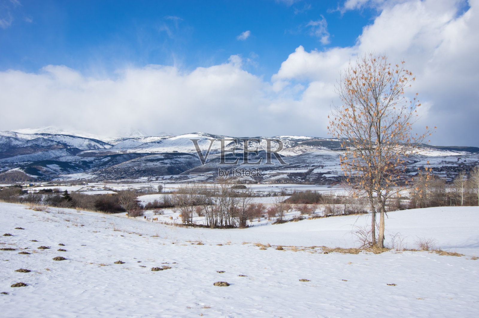 比利牛斯山区的冬天照片摄影图片