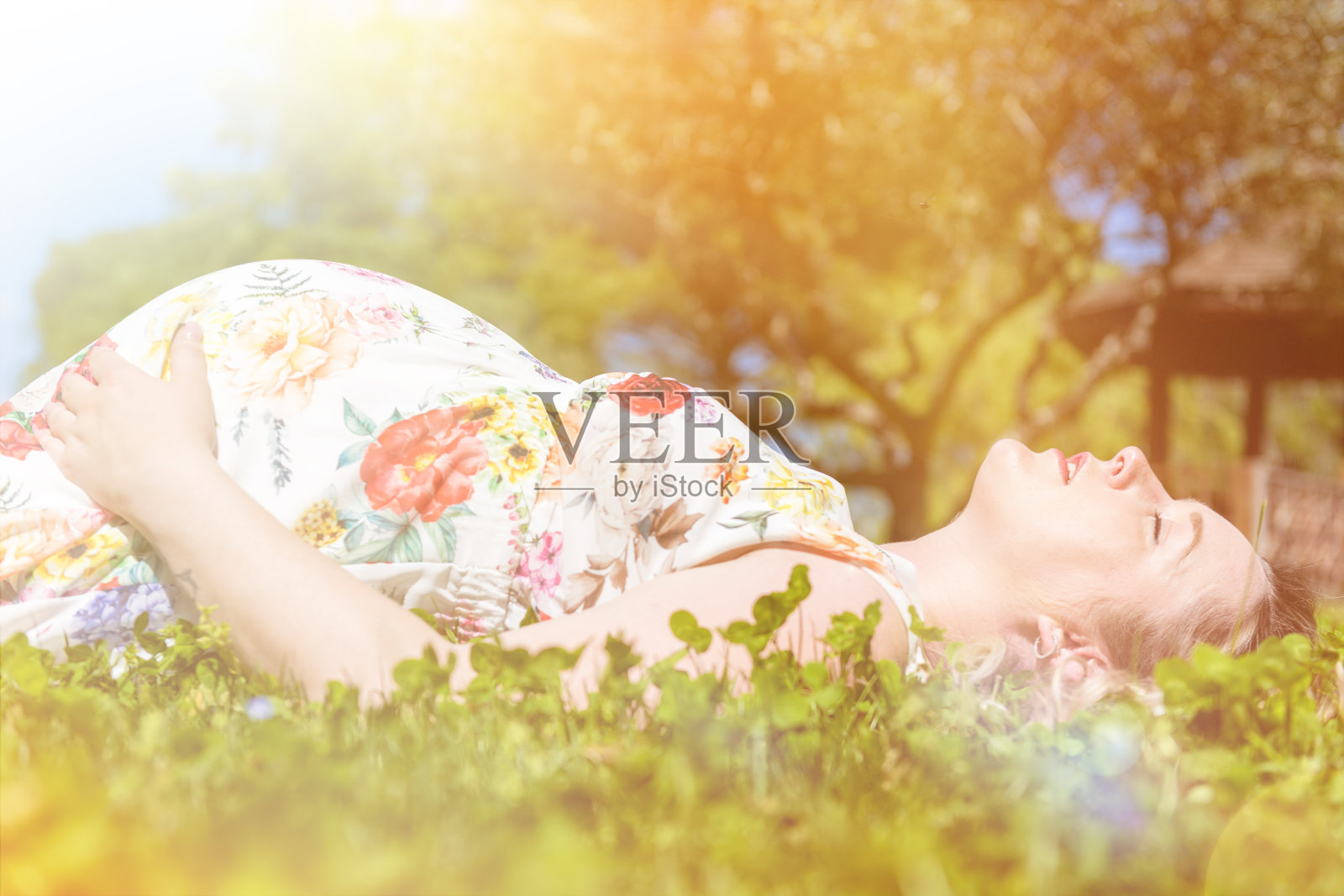 一个孕妇在草地上休息照片摄影图片