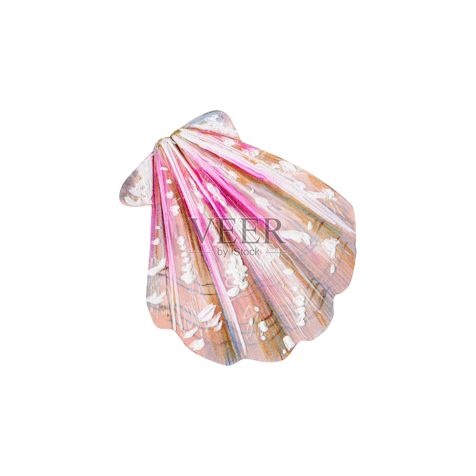 带粉红色贝壳的珍珠母。设计元素图片