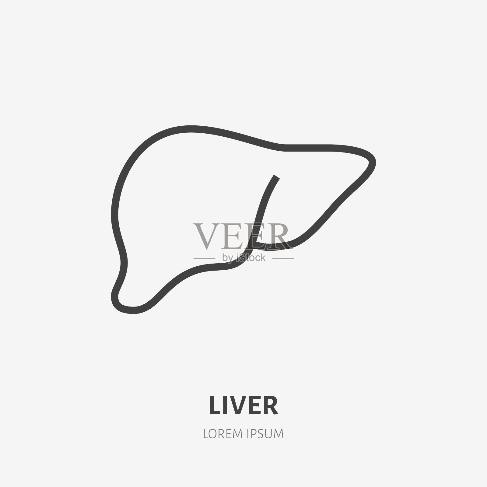 设计绘画插图矢量线条画方形画幅符号计算机图标标志肝脏人体结构静脉