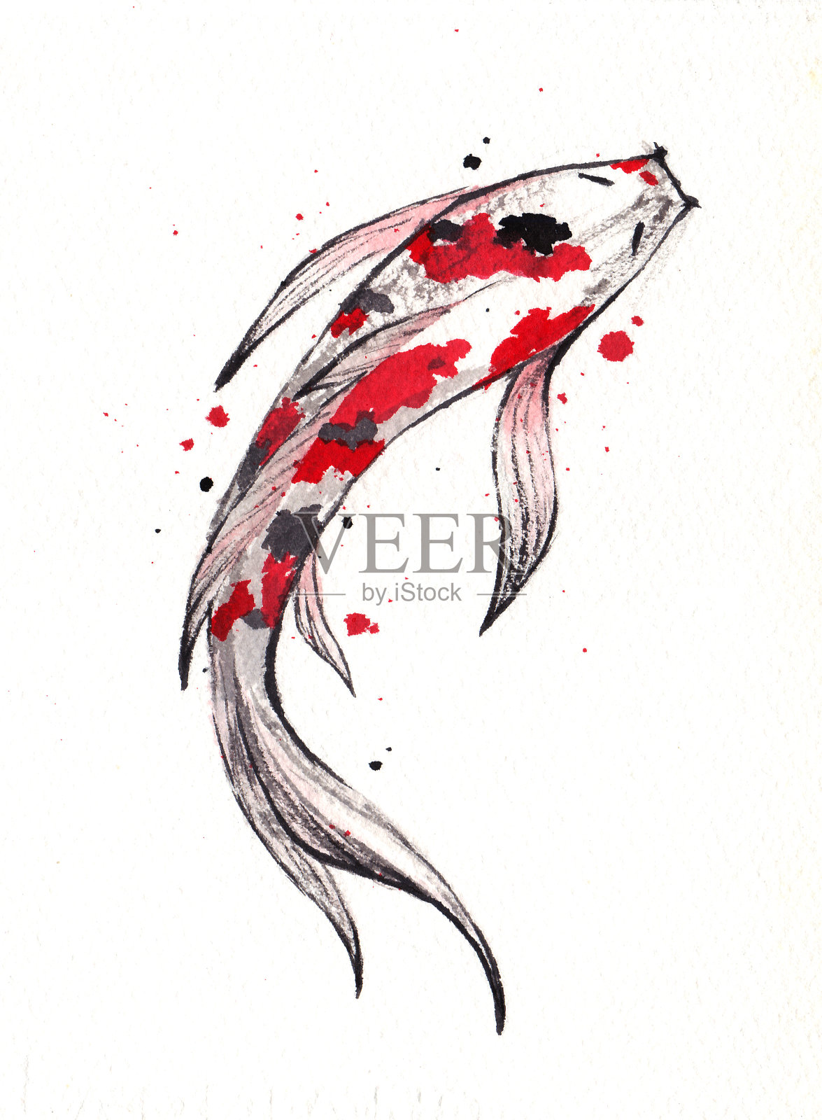 美丽和鲜艳的锦鲤鱼在白色的背景。水彩绘画。象征着好运和繁荣。中国一笔技术。插画图片素材
