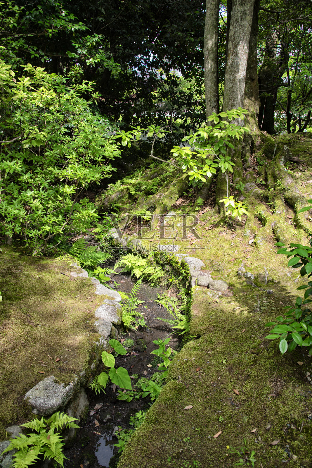 日本公园里的手工小溪，夏天，白天照片摄影图片