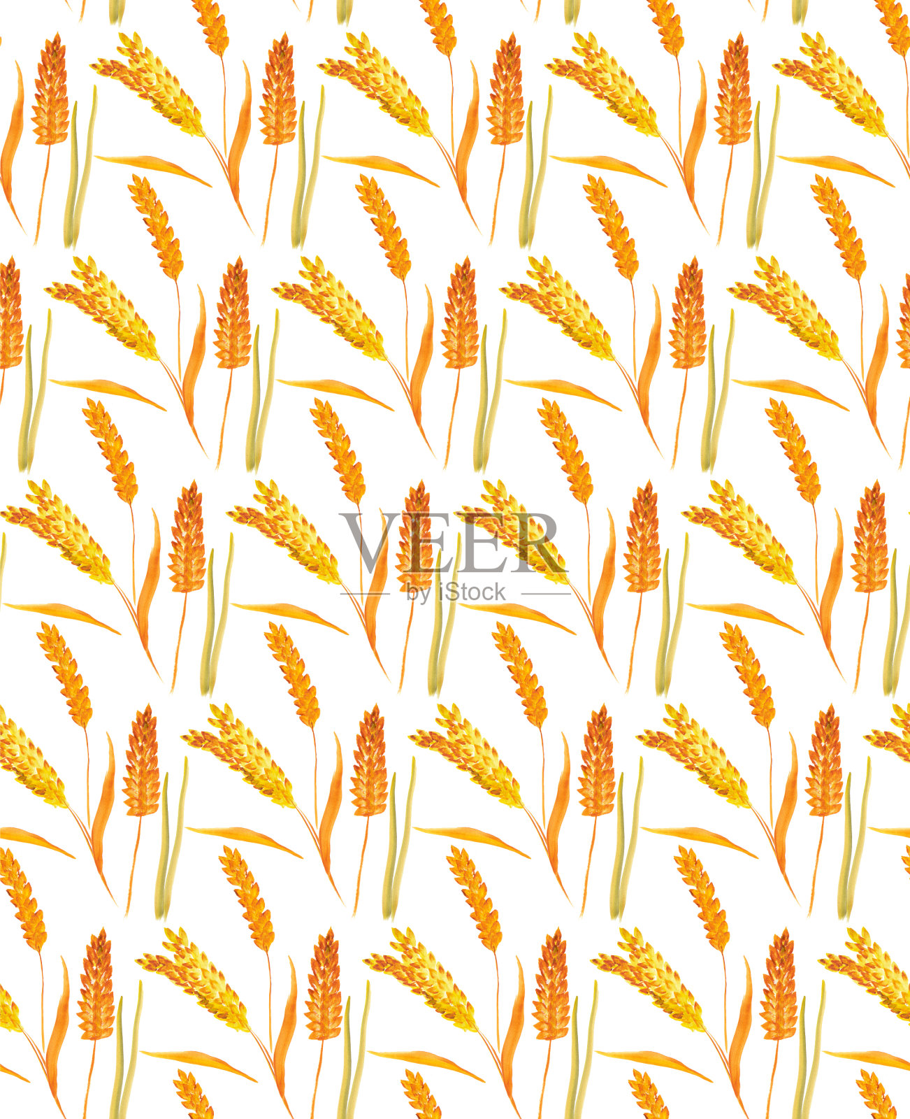 小麦穗水彩无缝图案。插画图片素材