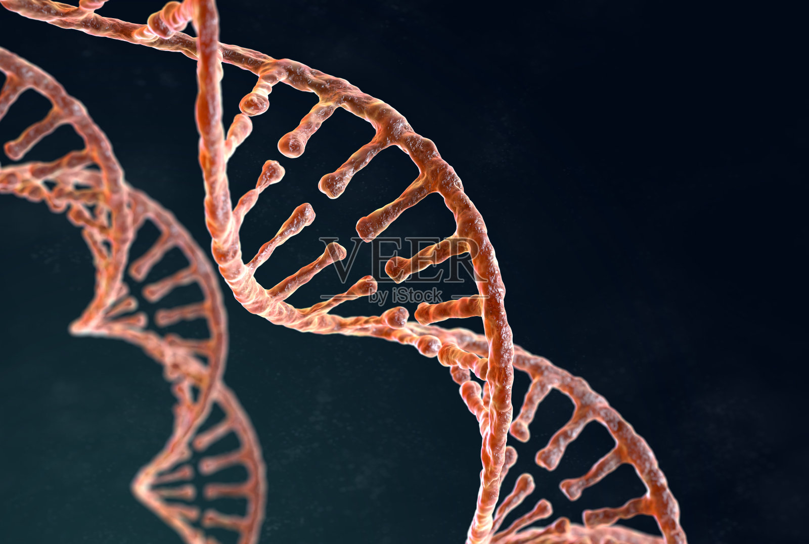 黑色背景上的DNA螺旋链照片摄影图片
