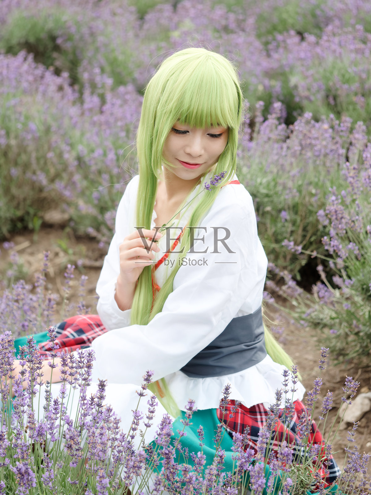 美丽的cosplay女孩的肖像在绿色的头发拿着薰衣草花在薰衣草田间。照片摄影图片