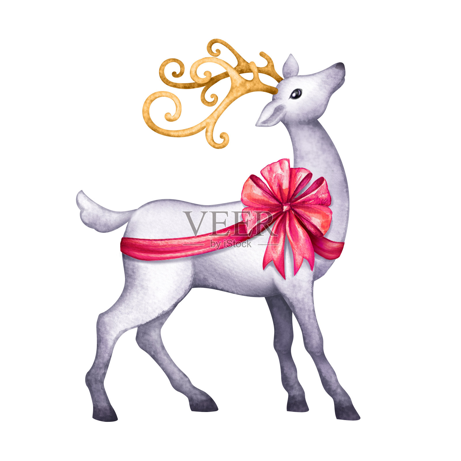 圣诞驯鹿水彩画插图。白色的鹿带着红色的丝带。剪贴艺术孤立的白色背景。有金角的野生森林动物。插画图片素材