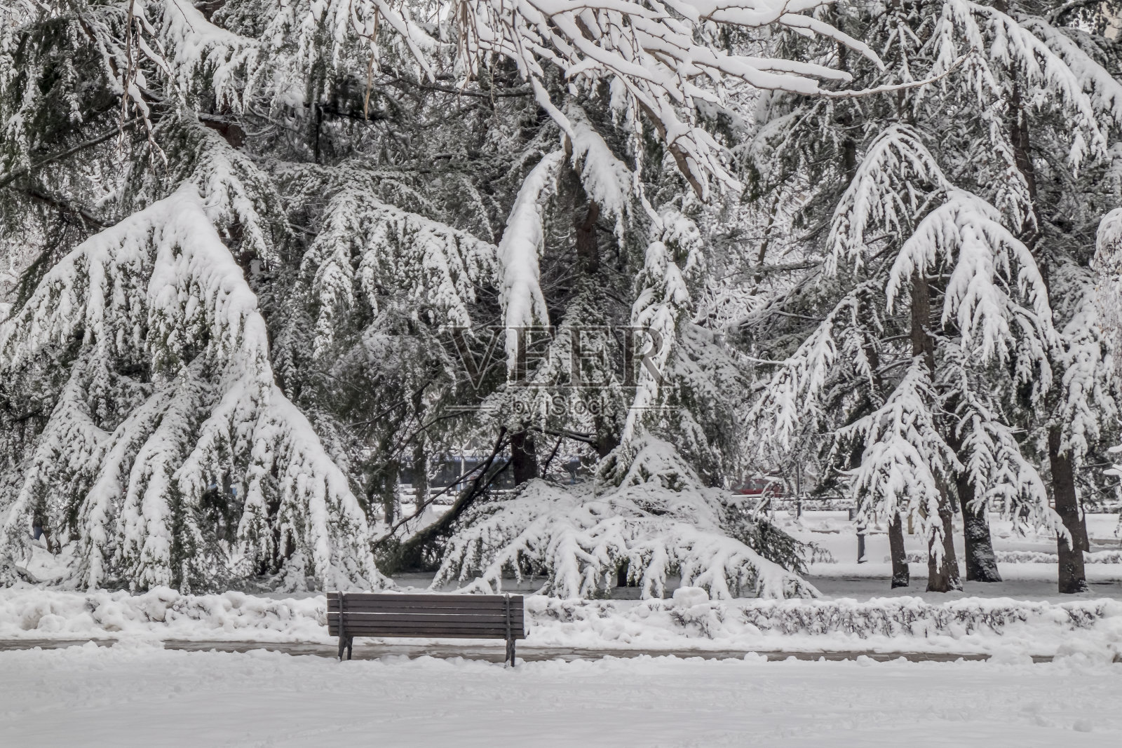 冬季公园里的长椅照片摄影图片