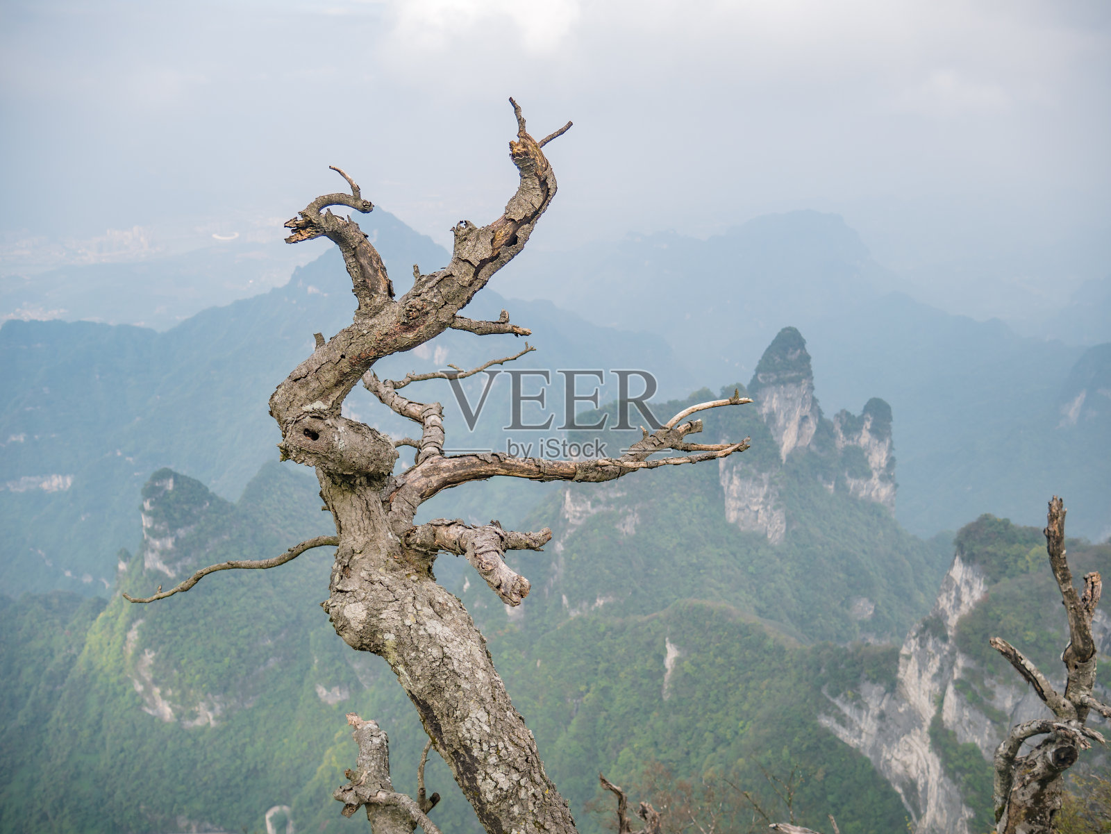 中国张家界天门山国家公园的美丽景色照片摄影图片