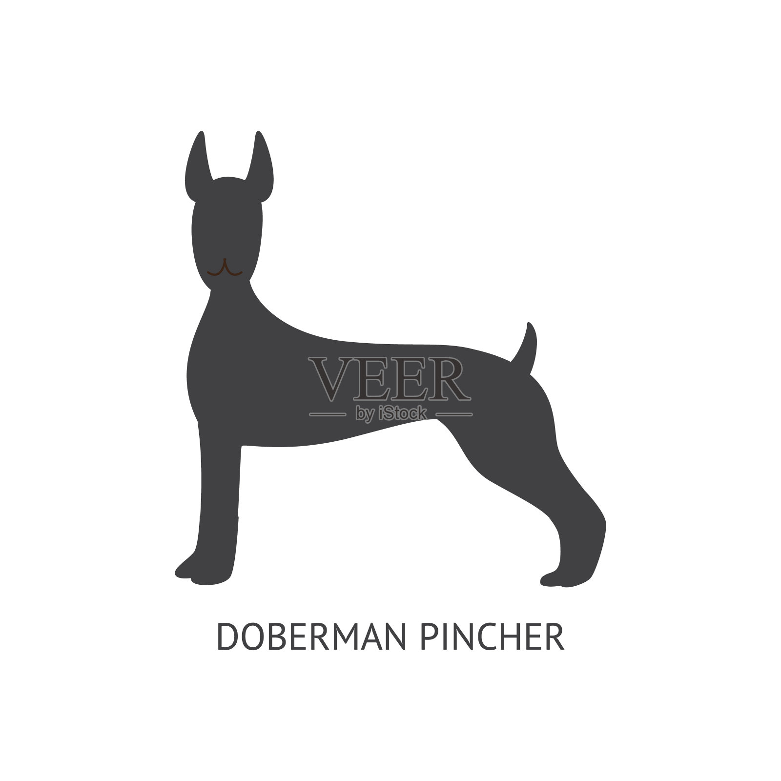 黑色剪影的杜宾犬品种，动物和宠物的概念。插画图片素材