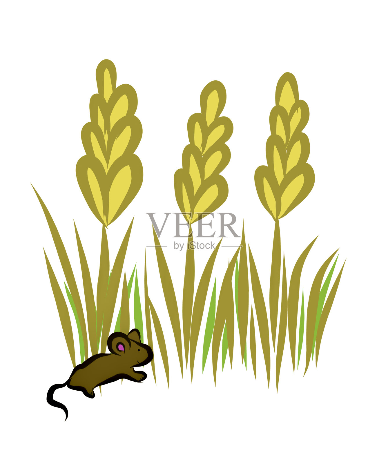 麦田里小麦生长的插图插画图片素材