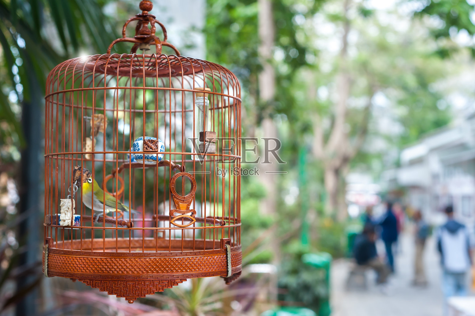 香港园圃雀鸟市场笼中的小鸟照片摄影图片