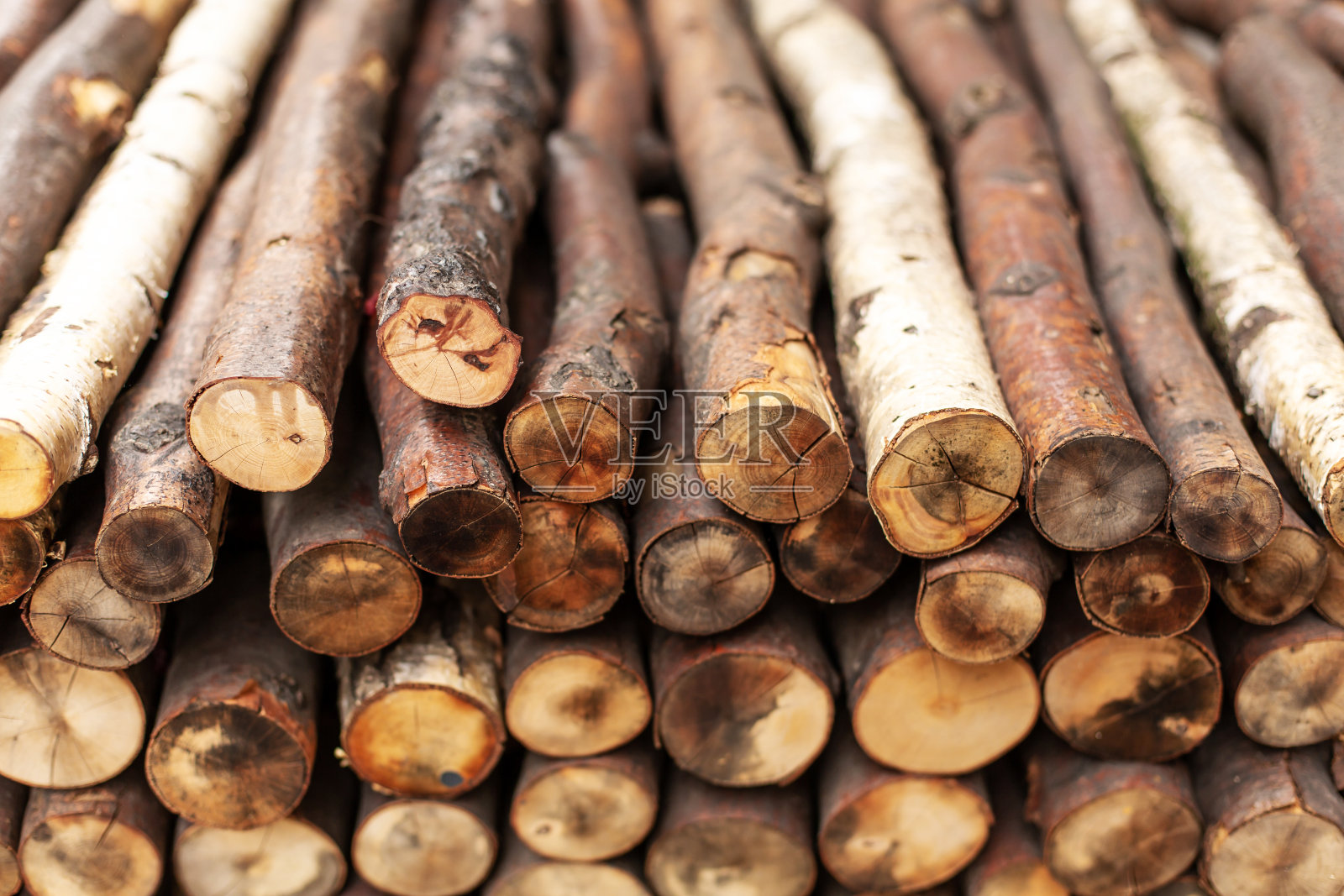 把柴火砍成一排。木材纹理照片摄影图片