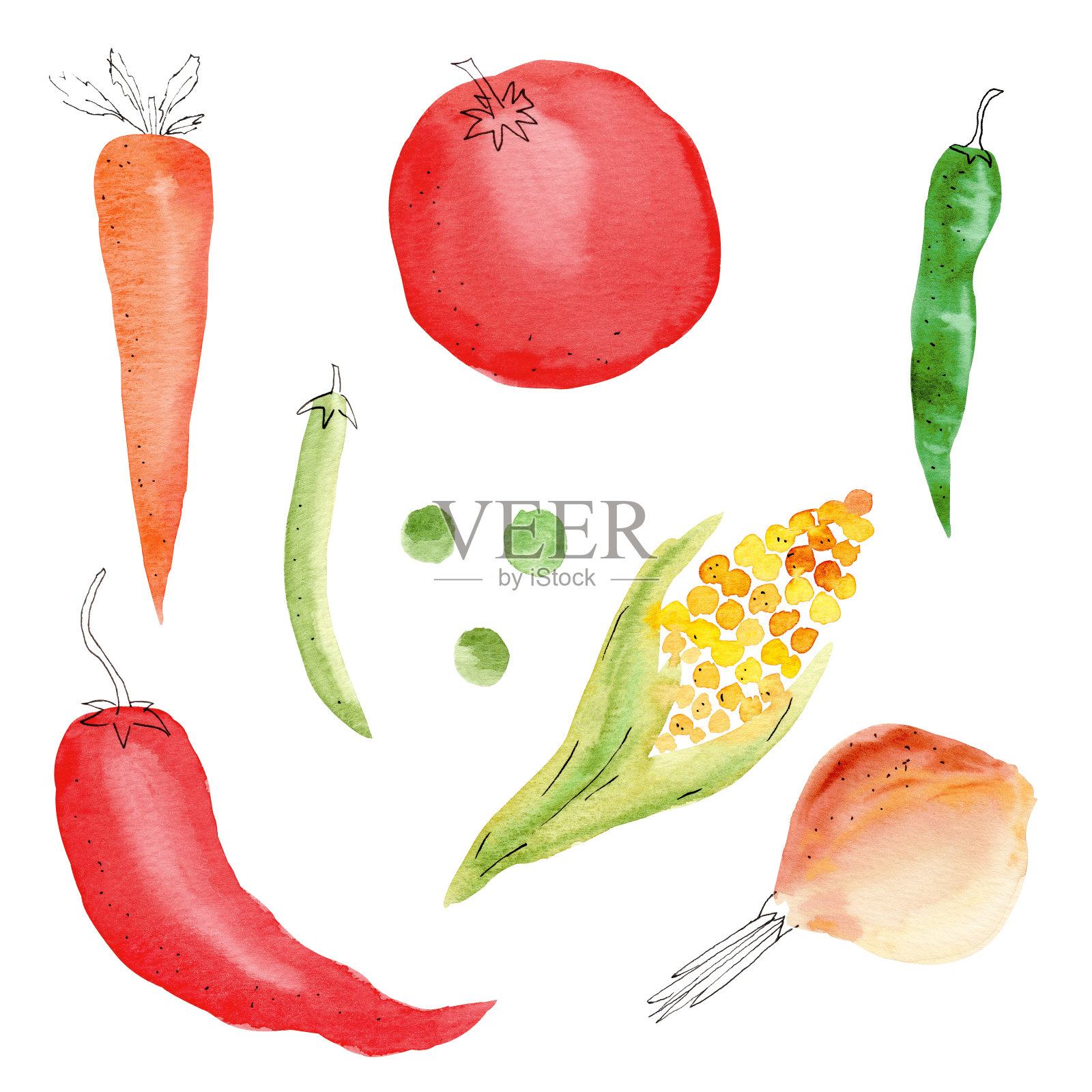 手绘彩色蔬菜水彩插图集插画图片素材