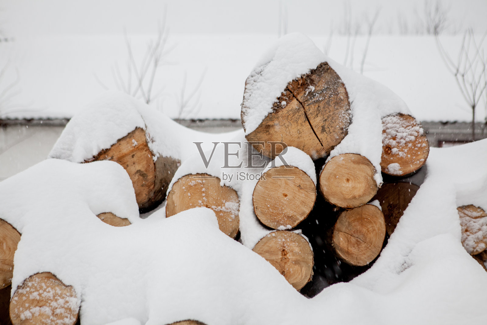在雪下砍倒的树。木材加工工业的原材料。木材露天储存。木材公司。木材。圆材。圆的木材照片摄影图片