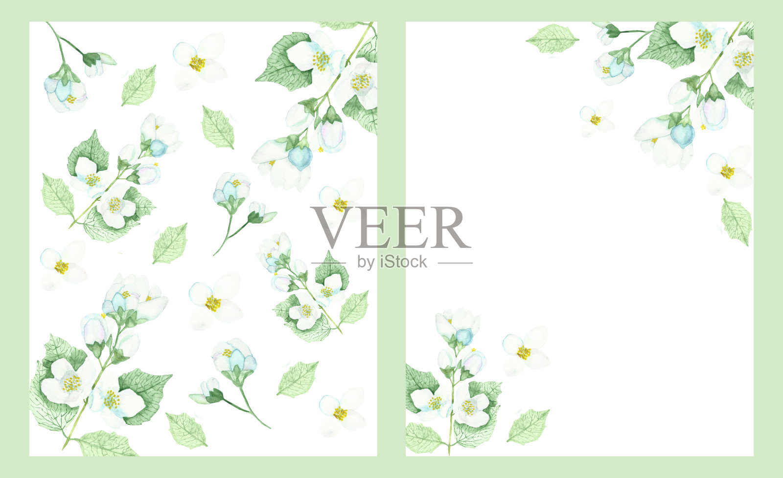水彩手绘自然花卉两帧构成与白色的茉莉花在树枝上与绿色的叶子在白色的背景邀请和问候卡与文字的空间插画图片素材