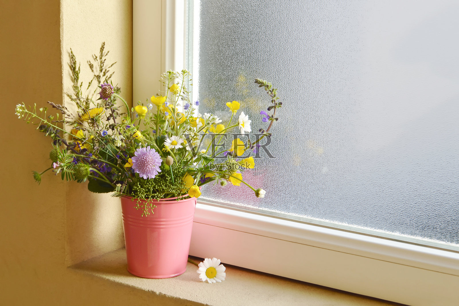 窗台上桶里的野花照片摄影图片