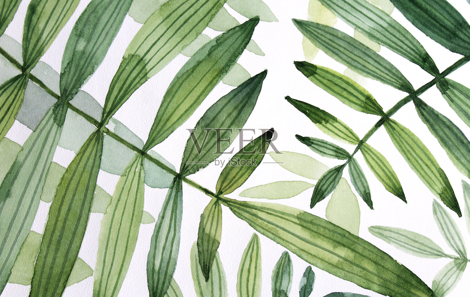 水彩画背景与绿色树叶手绘插图插画图片素材