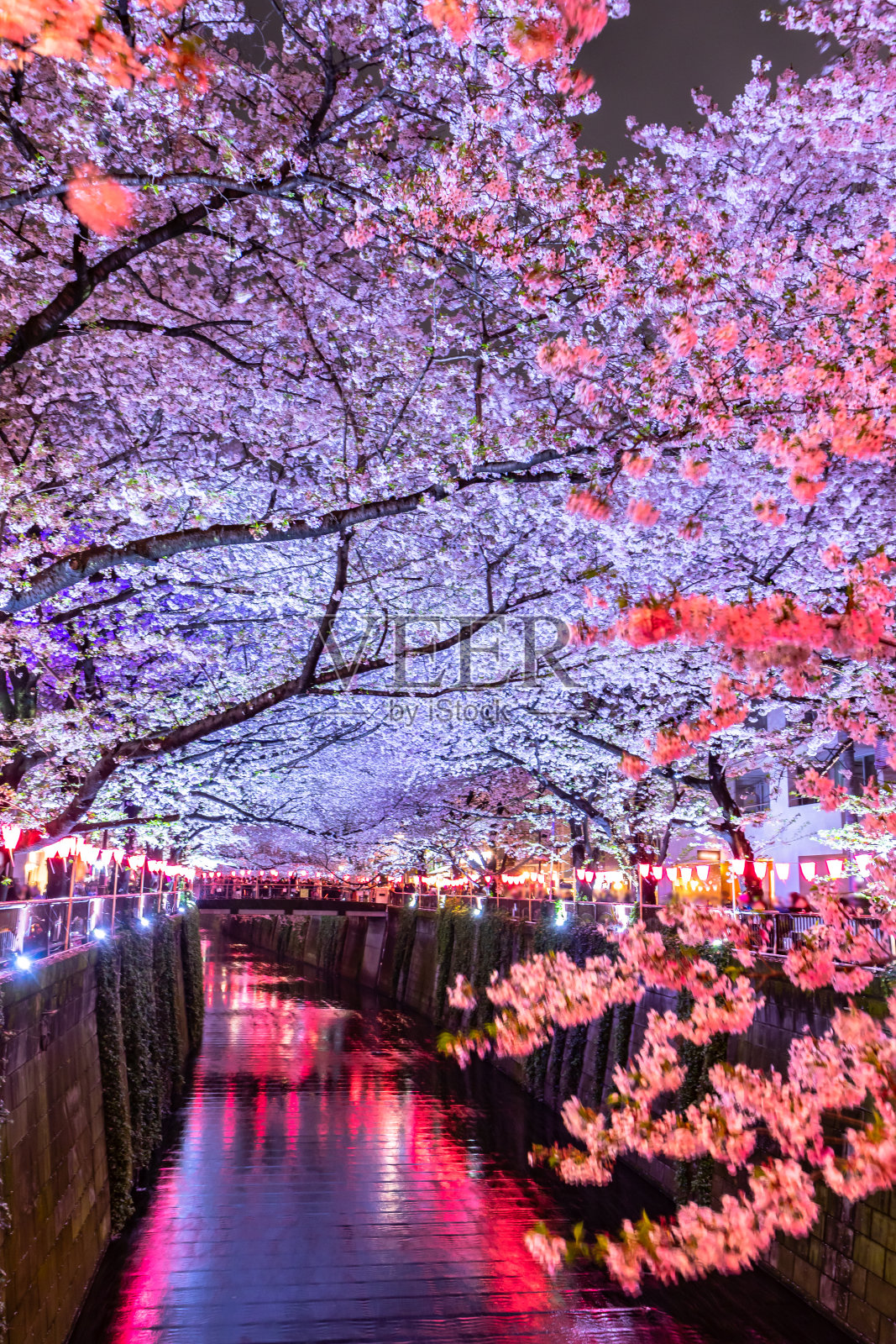 美丽的樱花夜光或樱花盛开的季节，日本东京的目黑河照片摄影图片