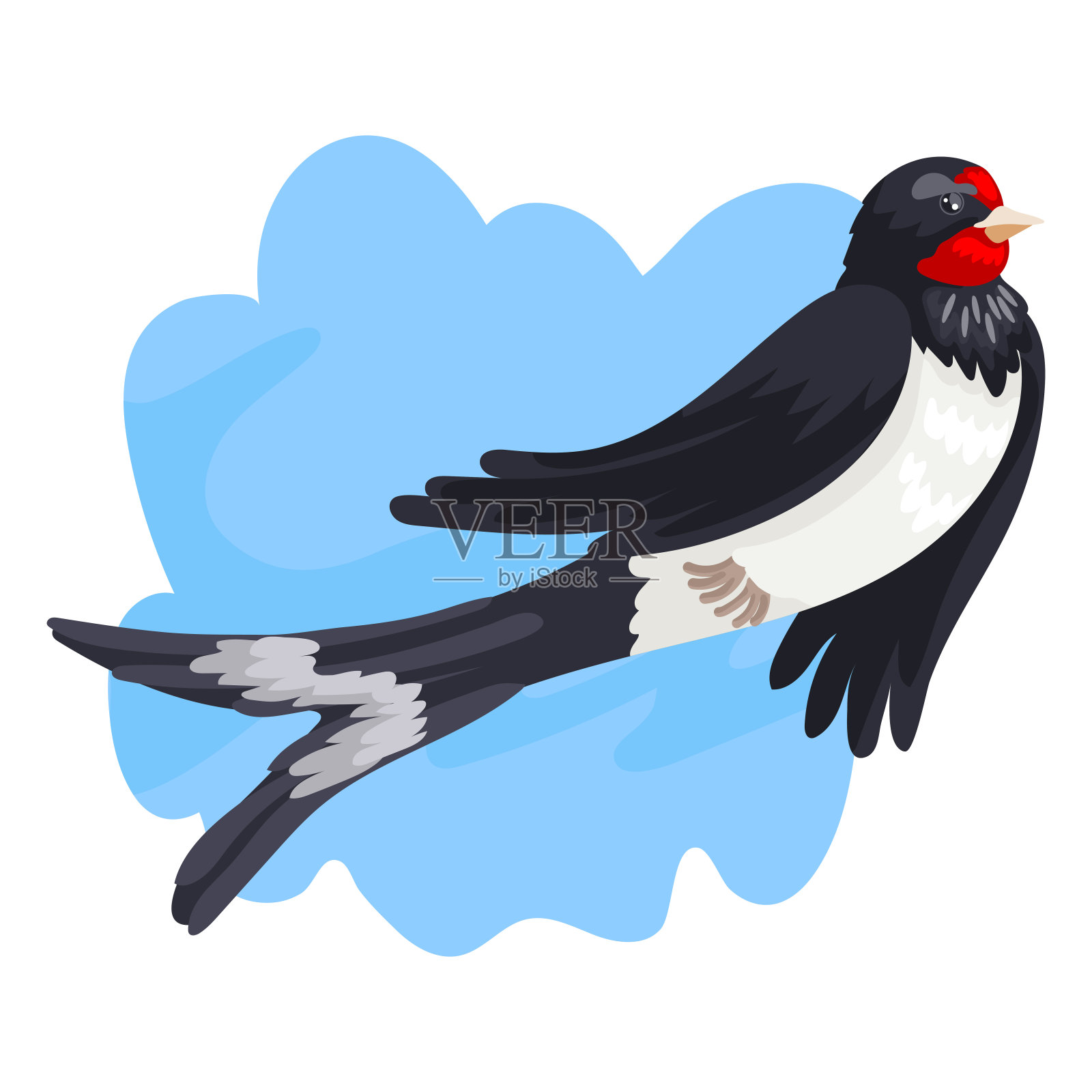 春天的候鸟，一只燕子在天空的背景中飞翔。矢量插图的野生动物设计元素图片