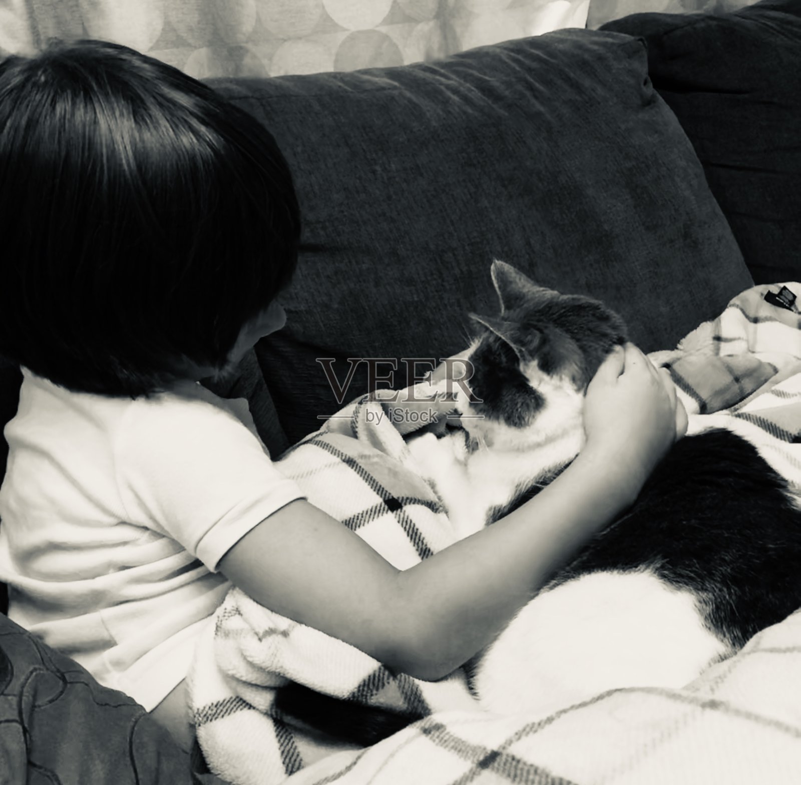 孩子拥抱宠物猫照片摄影图片