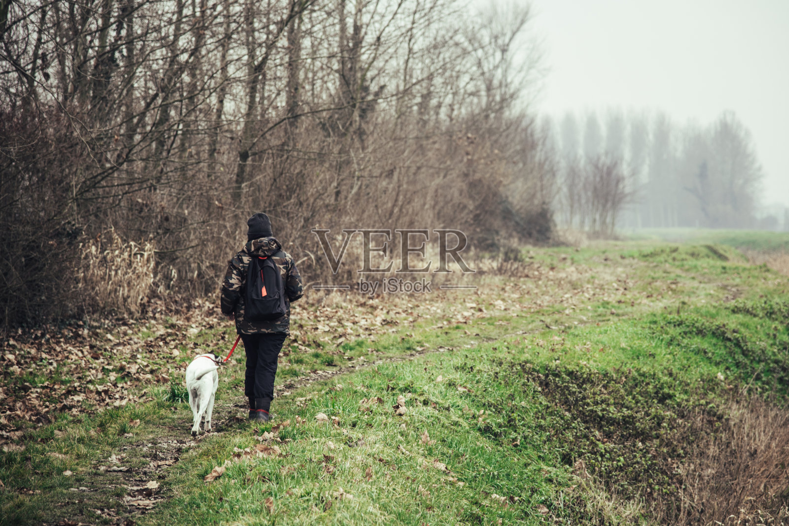 小女孩和她的狗在乡村散步照片摄影图片