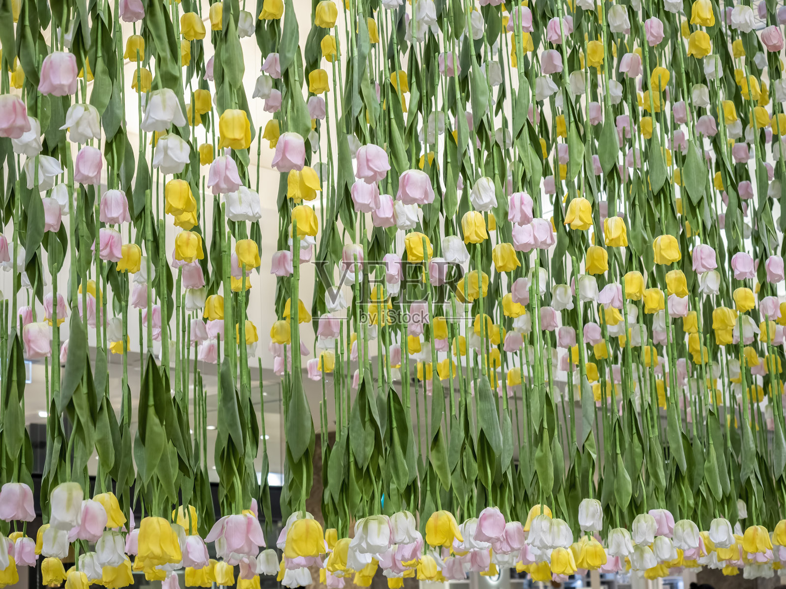 不同颜色的人造郁金香花倒挂在一起照片摄影图片
