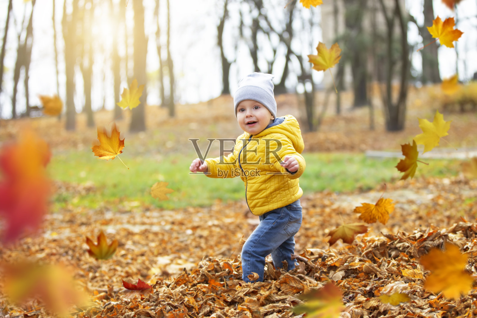 公园里的一个孩子。有趣的孩子看着秋天的树叶。秋天走了。大自然中的小男孩照片摄影图片
