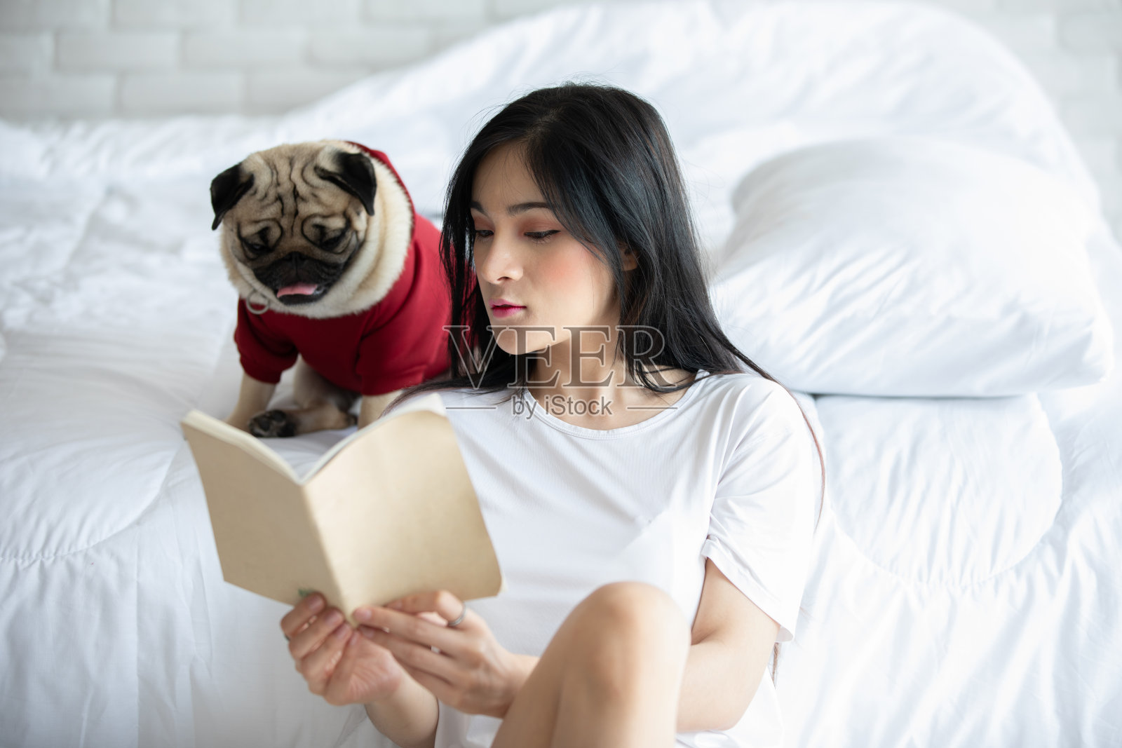 迷人的亚洲年轻女子阅读书籍，而她的狗哈巴狗繁殖在舒适的卧室放松和舒适的假期，休闲与狗的概念照片摄影图片