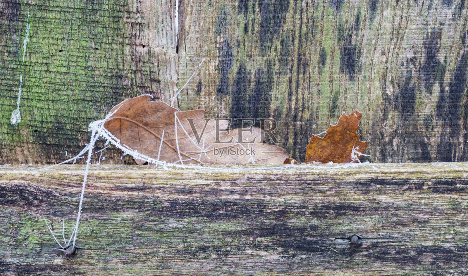 木栅栏上的秋叶锈冻住了。照片摄影图片