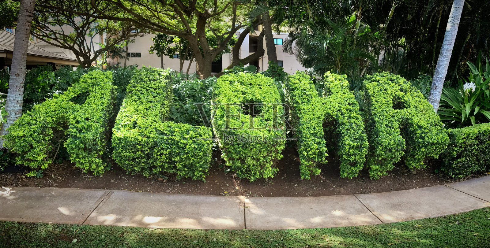 夏威夷考艾岛的阿罗哈修剪园照片摄影图片