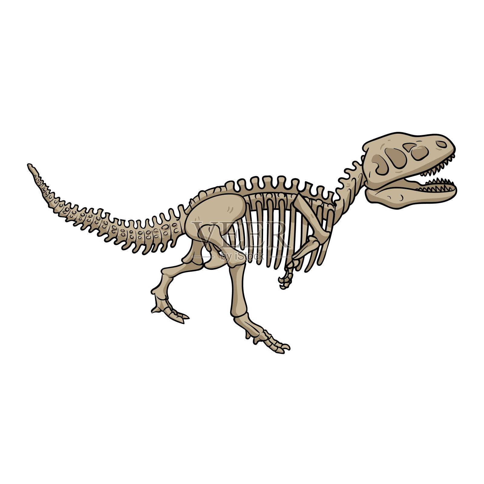 恐龙化石骨架，卡通风格。平面矢量插图孤立在白色背景。设计元素图片