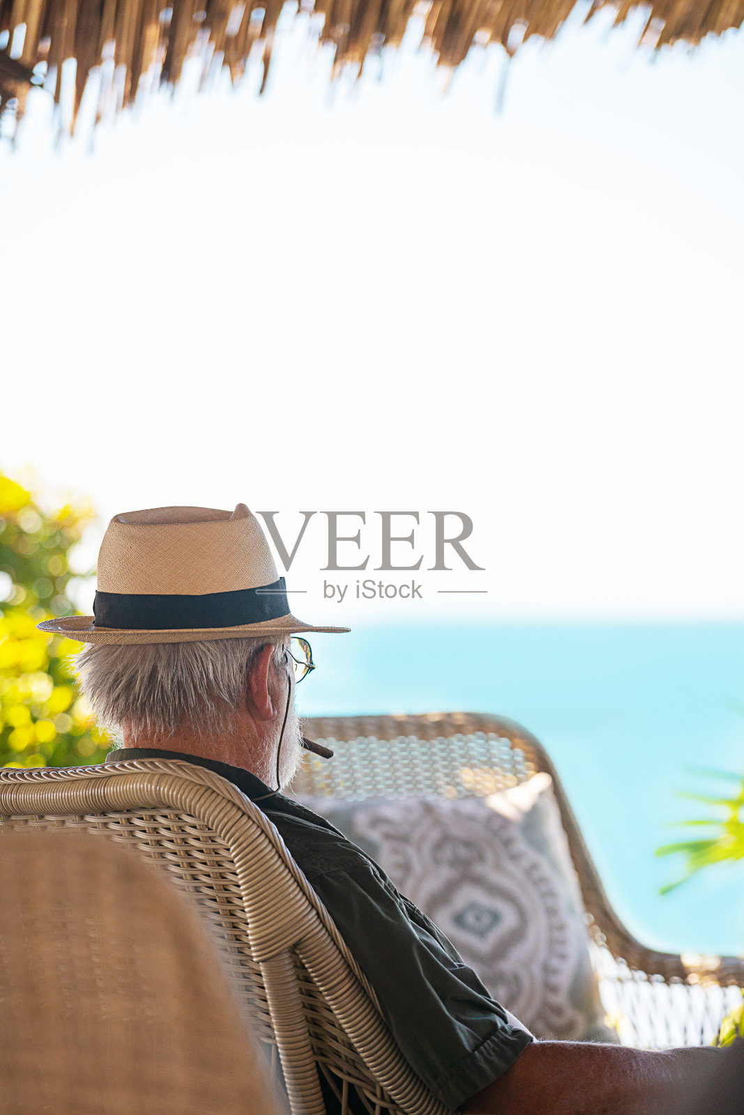 年长男子与胡子持有雪茄热带夏季背景。照片摄影图片