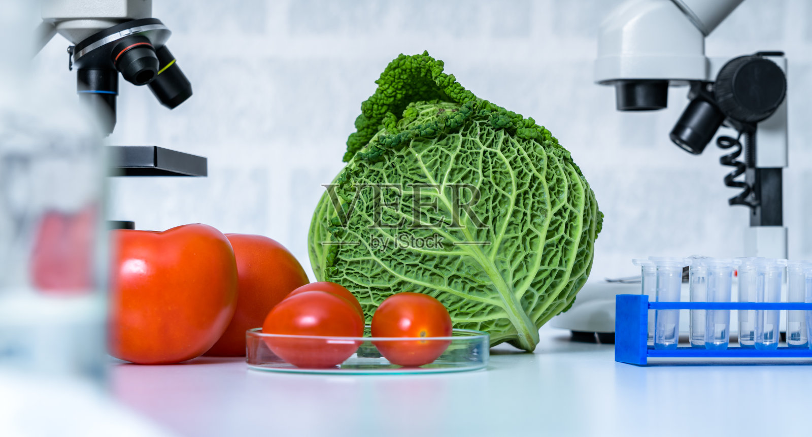 l实验室蔬菜遗传育种，食品质量分析，照片摄影图片