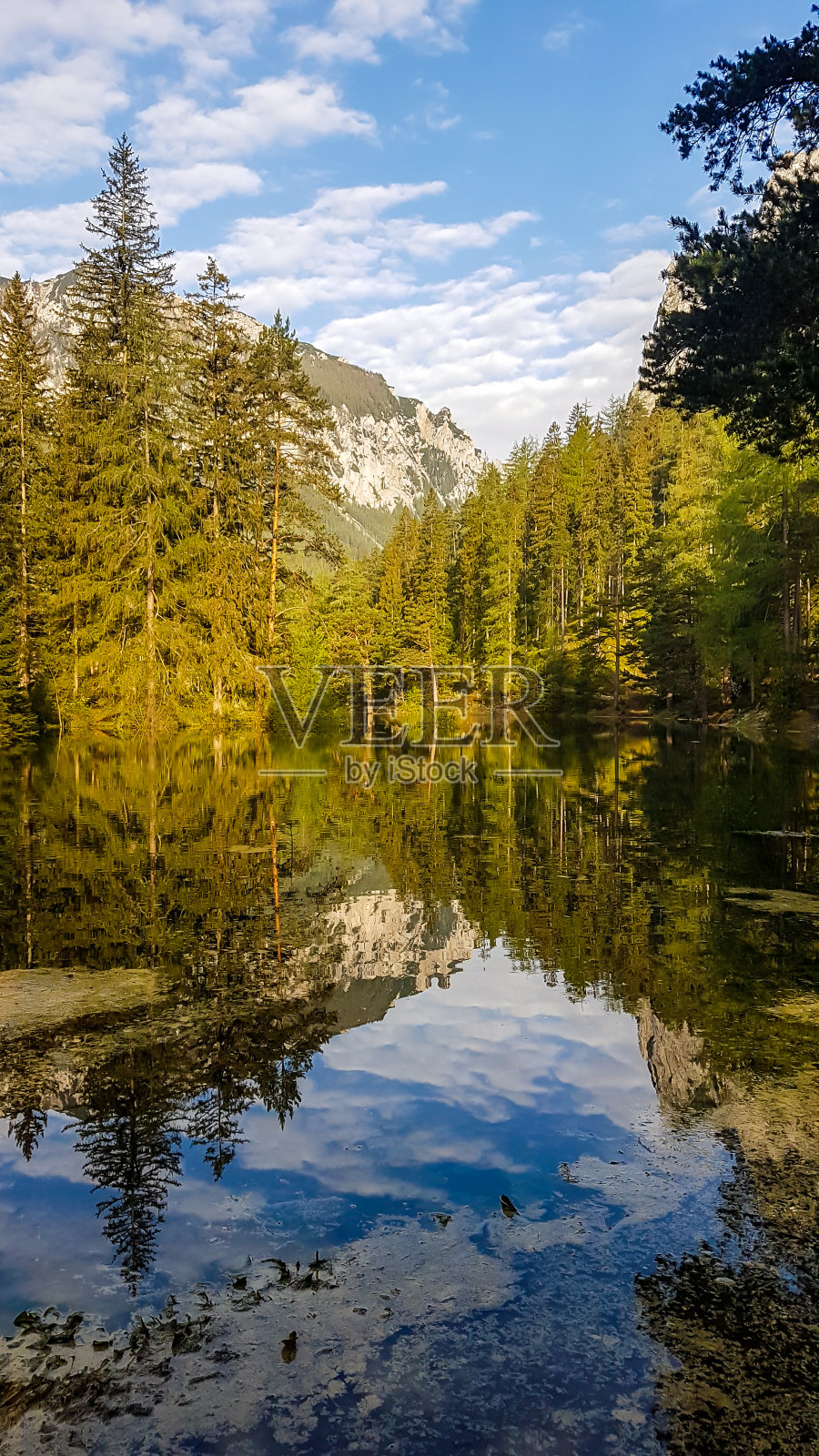 绿色的湖-一个宁静的风景在阿尔卑斯山谷与湖在中间照片摄影图片