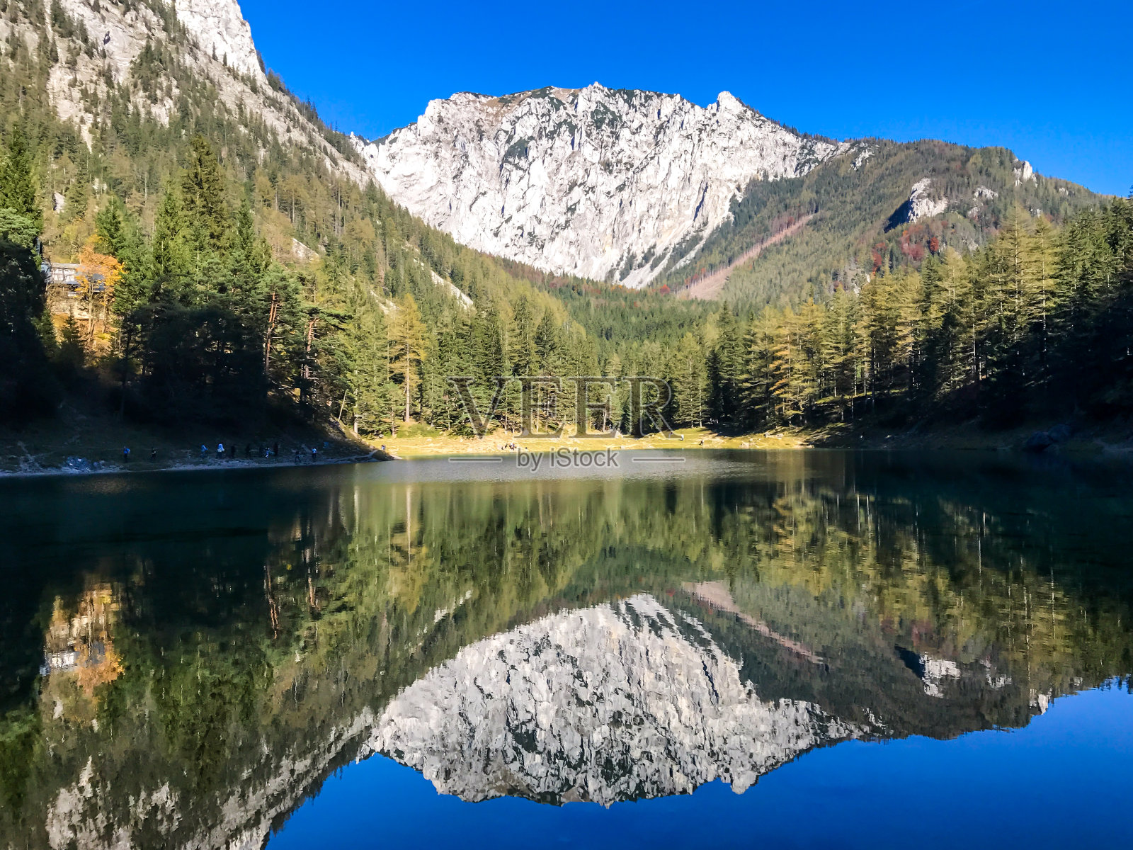 绿色的湖-一个宁静的风景在阿尔卑斯山谷与湖在中间照片摄影图片