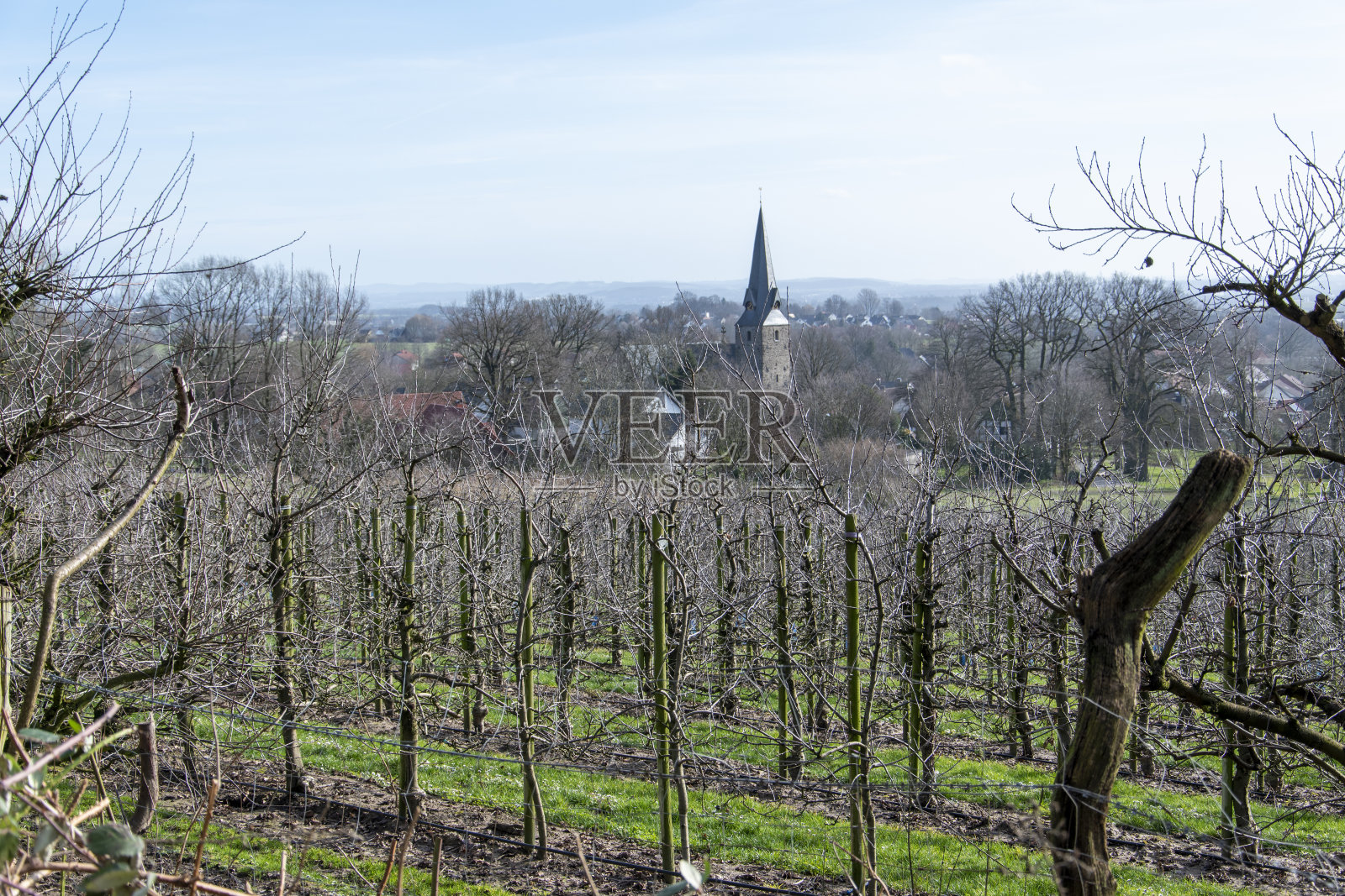 2月，徒步穿过Rödinghausen附近的Wiehengebirge，一览小镇美景。前景是一个果园照片摄影图片
