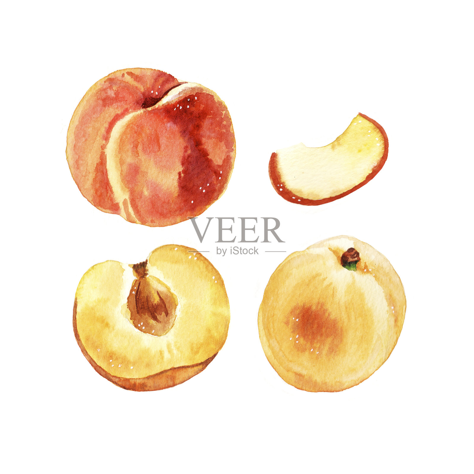 水彩手绘夏季水果桃和杏插图集插画图片素材