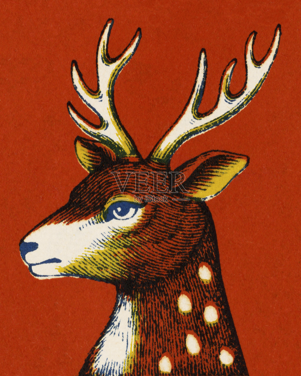 鹿头插画图片素材